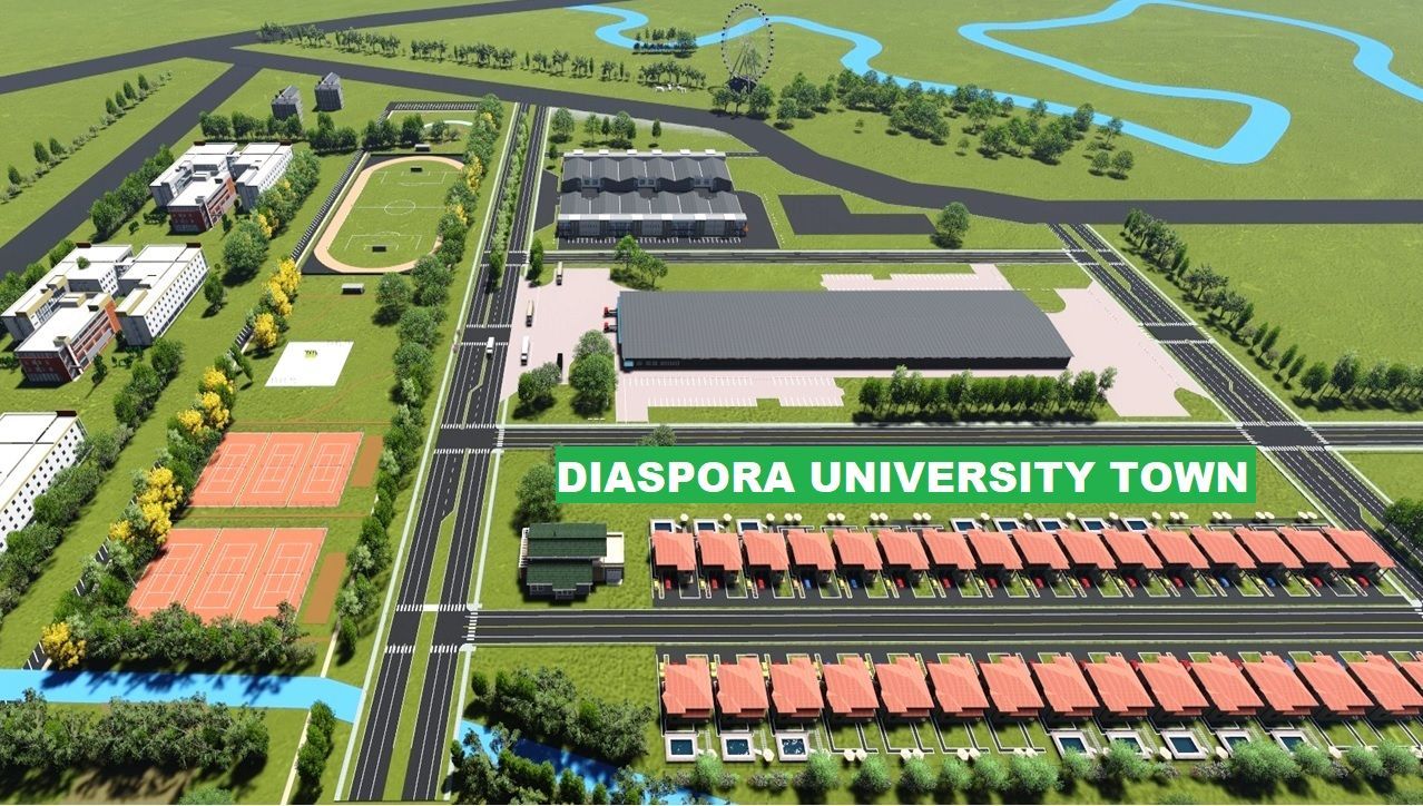 Diaspora University Town (DUT) Concept.