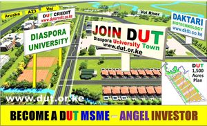 Diaspora Kenyans Becoming Angel Investors