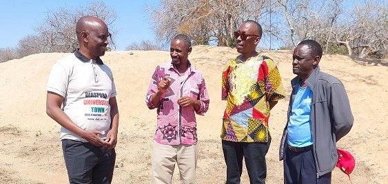 Bee Farming at Diaspora University Town