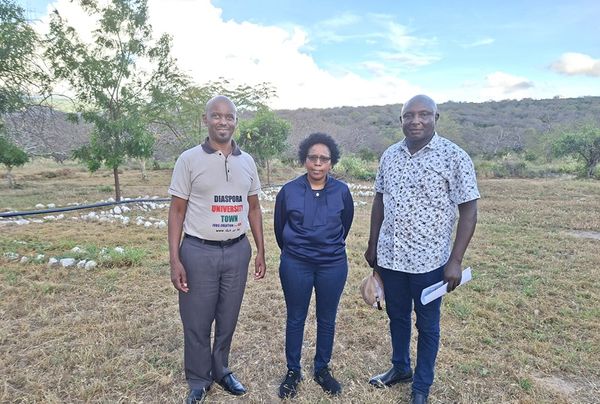 Engineers Express Interest in Being Part of DUT Design-Build Plan of Ksh 39.5 Billion